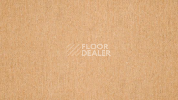 Линолеум Tarkett Travertine Pro TERRACOTTA 01 фото 1 | FLOORDEALER